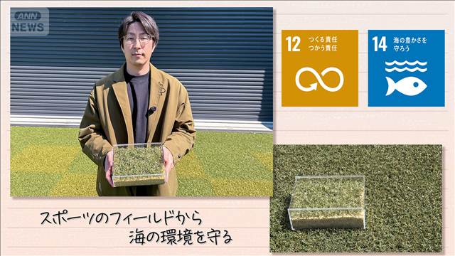 【SDGs】スポーツのフィールドから海の環境を守る