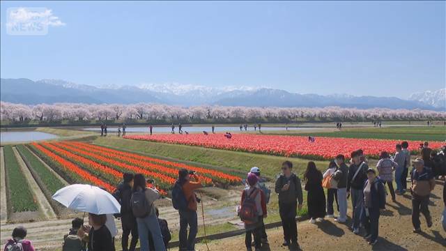 この時期にしか見られない「春の四重奏」　富山