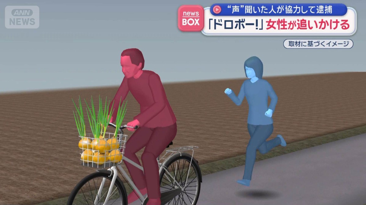 Thief Caught in Shizuoka