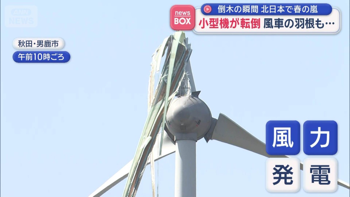倒木の瞬間　小型機が転倒　風車の羽根も…北日本で春の嵐