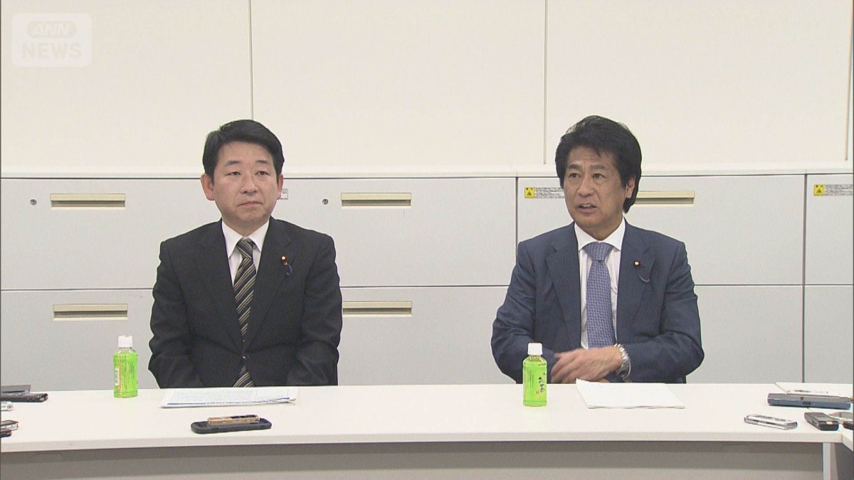 「第3号被保険者」縮小で一致　自民・維新　具体策は慎重に議論