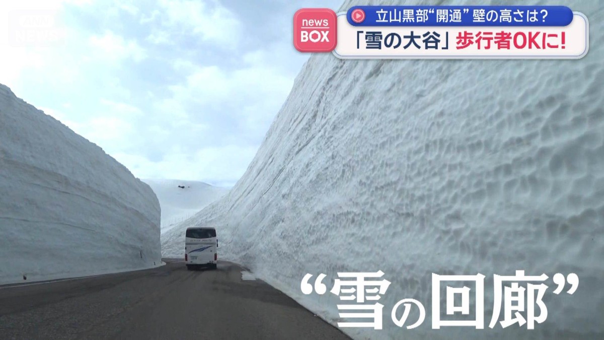 「雪の大谷」歩行者OKに！　立山黒部アルペンルートが開通　