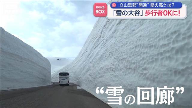 「雪の大谷」歩行者OKに！　立山黒部アルペンルートが開通　