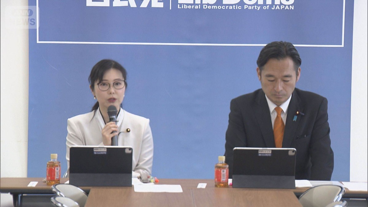 辺野古転覆事故で自民が提言案　原因究明や適切な教育活動を求める