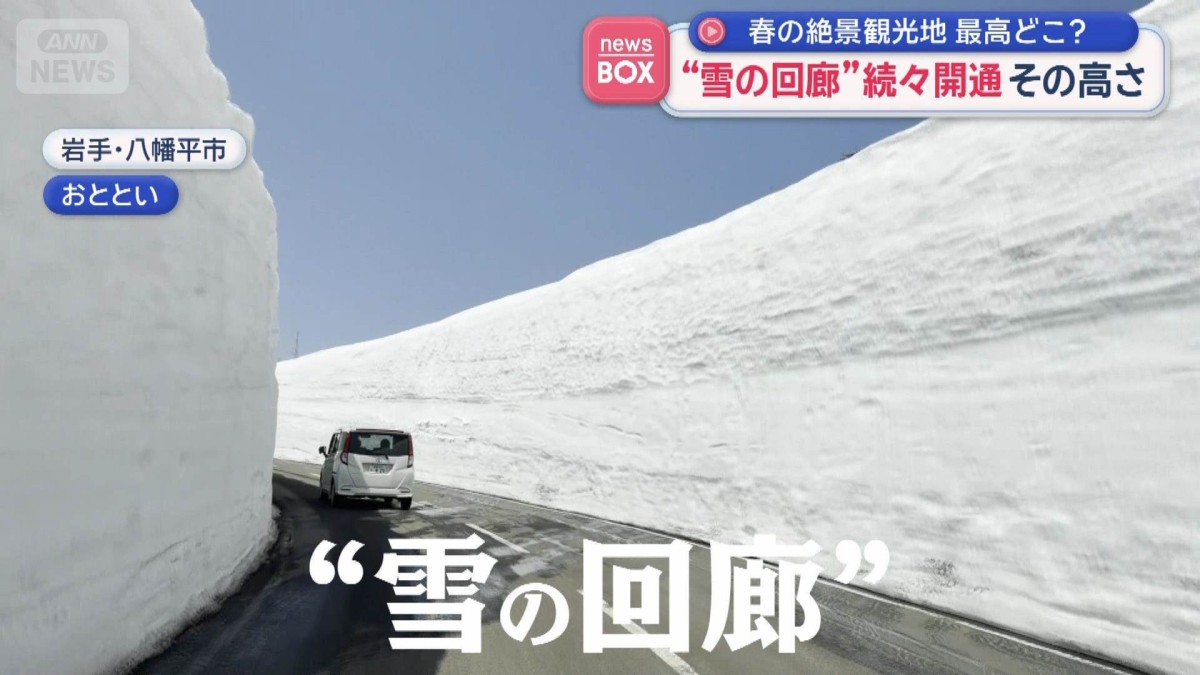 春の絶景観光地　最高どこ？　“雪の回廊”続々開通　