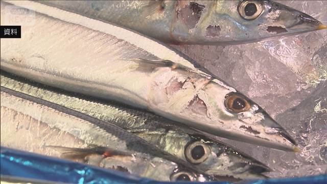 サンマの総漁獲枠5％減　日本提案の10％減ならず　北太平洋漁業委員会