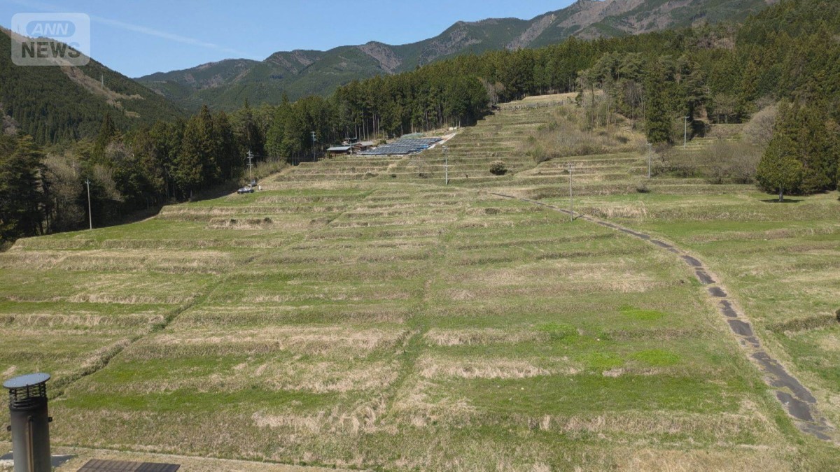 岐阜県　事業中止で20年土地を“塩漬け”　25億円損失