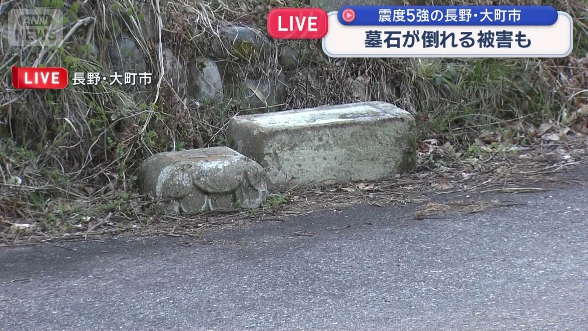 倒れた墓石の被害