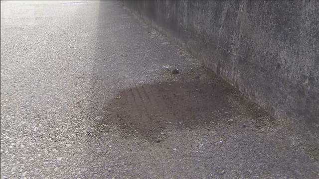千葉・君津市の路上で男性が頭から血を流し倒れ死亡　ひき逃げ事件で捜査