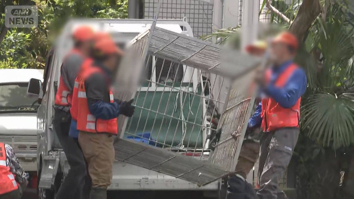 【熊五郎@】SUIGUNマドンナ　M6Kg＊２箱　【２箱縛りでの発送】 仙台市 市街地にクマ居座る 猟銃使えず 箱わなを設置