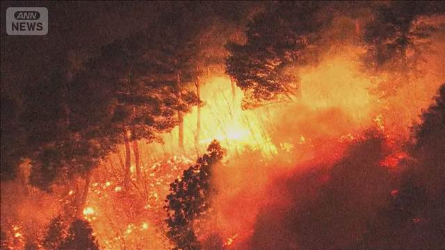 岩手・大槌町で山火事　104世帯250人が避難　県は自衛隊に災害派遣を要請