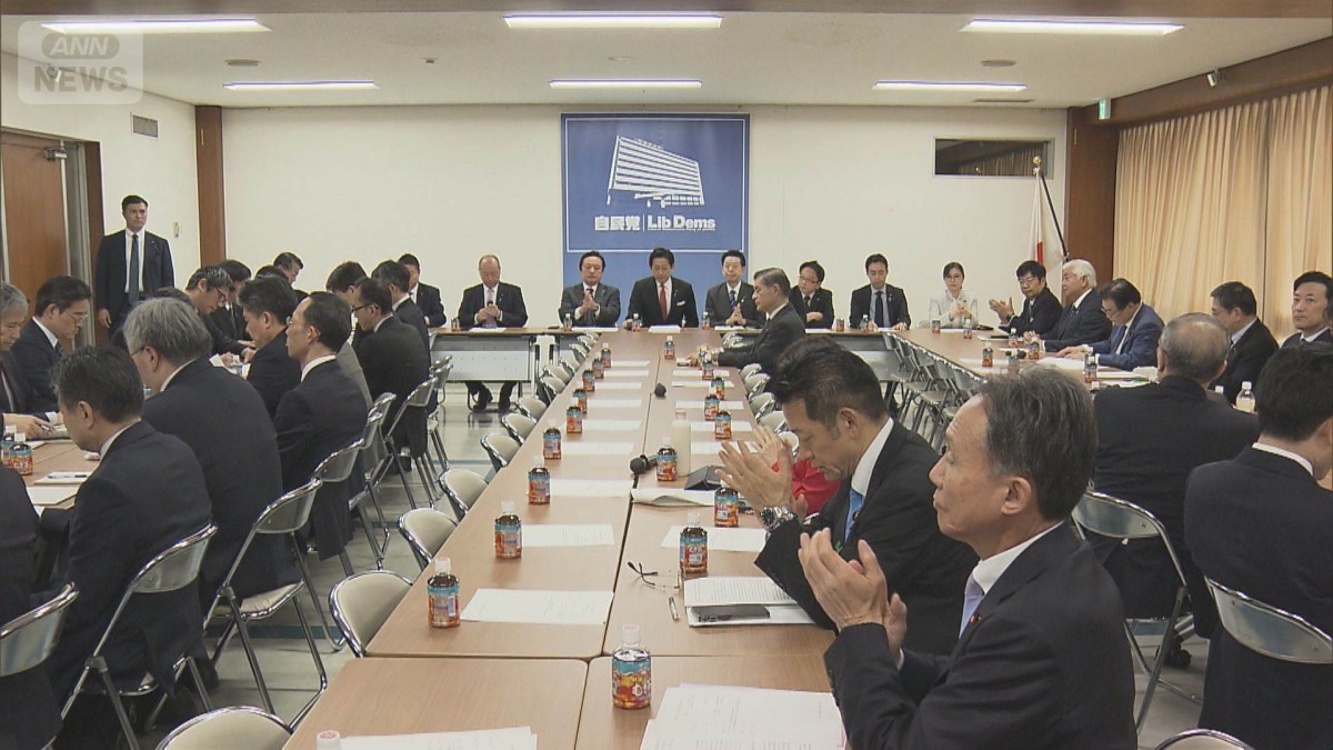 「ホルムズ掃海艇派遣検討すべき」自民提言案