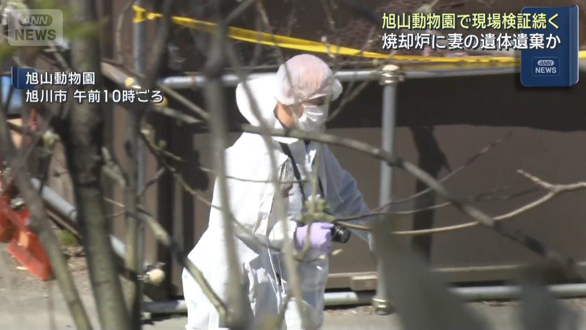 Asahiyama Zoo Investigation