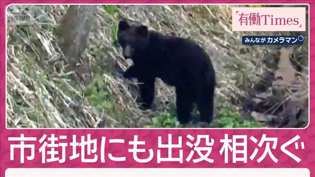 【独自】証言“クマと対峙”で「顔パンチ」も “春街グマ”多数…人身被害も相次ぐ