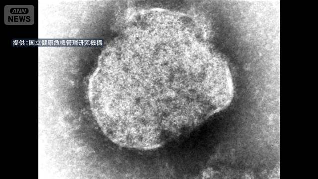 はしかの全国患者数が1週間で57人　今年すでに300人超　去年の4倍以上のペースで拡大