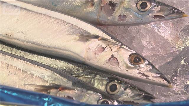 今年の日本のサンマ漁獲枠は去年の約4％減　水産庁が公表　ただし影響は限定的