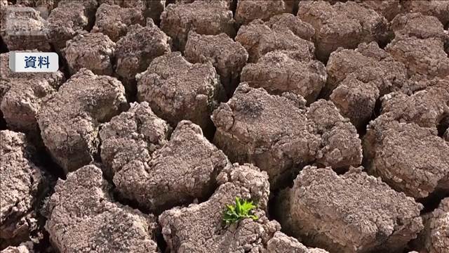 欧州“最も温暖化進む大陸”EU機関分析　山火事消失面積も過去最大