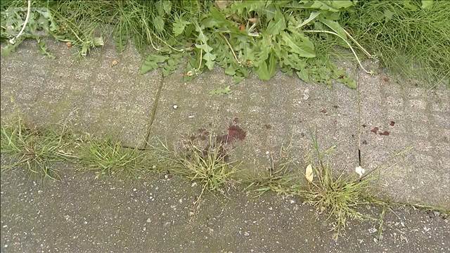 富山の住宅街で用水路からクマ 犬の散歩中の女性けが 市や警察が注意呼びかけ