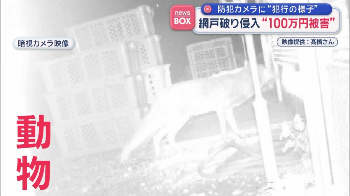 防犯カメラに「犯行の様子」 網戸破り侵入“100万円被害”山形
