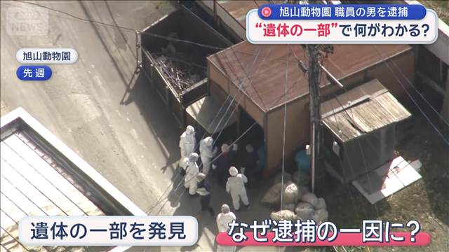 旭山動物園 職員の男を逮捕　“遺体の一部”で何が分かる？