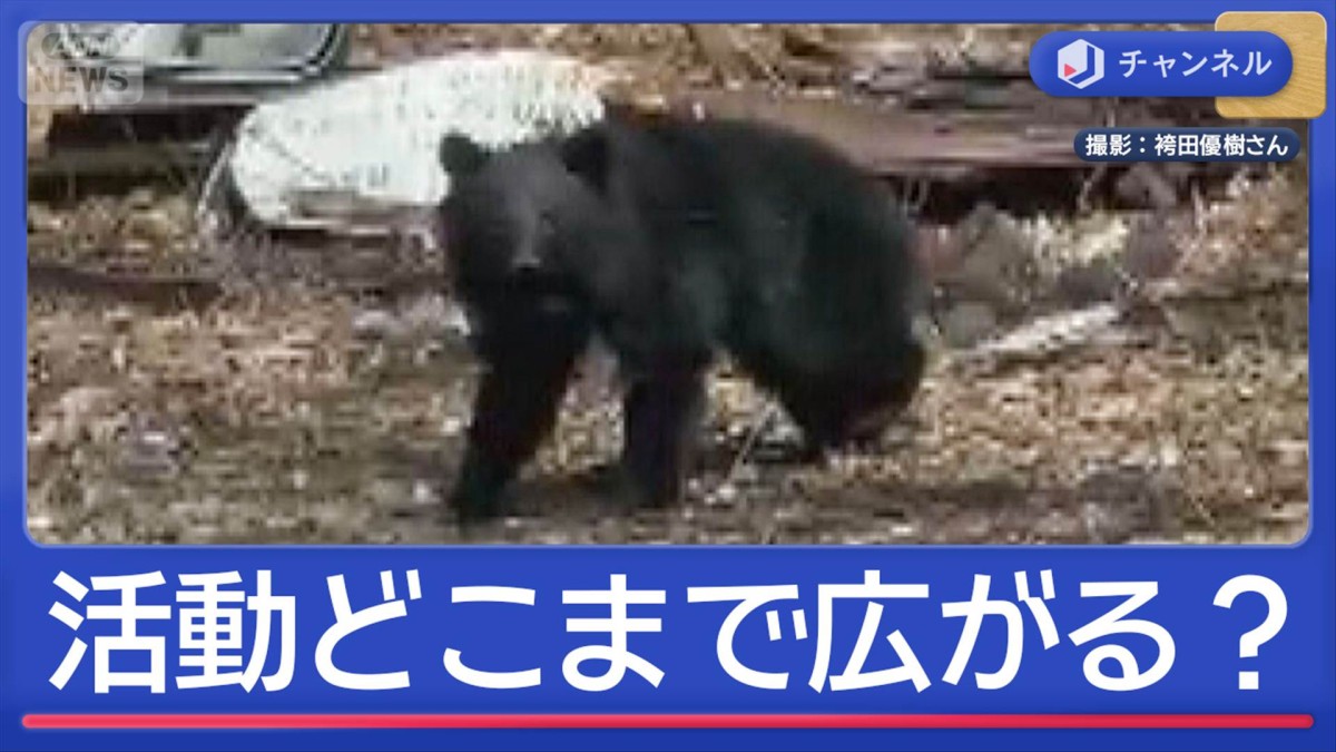庭先、観光地…クマの行動範囲どこまで拡大？農家も恐々