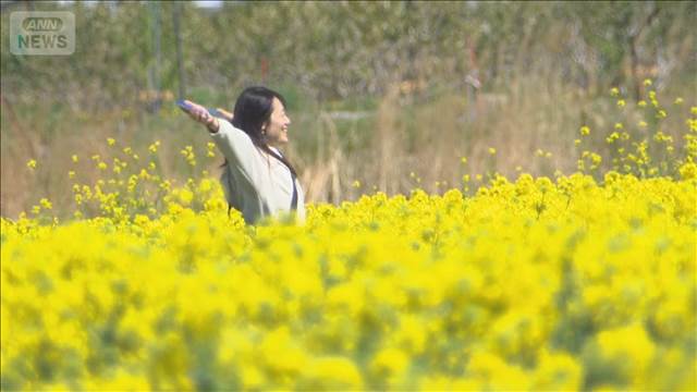 東北で記録的な暴風に　関東～西日本は夏日続出