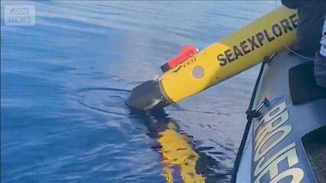 マッコウクジラの会話解読へ　長時間観察できる水中ロボットを開発
