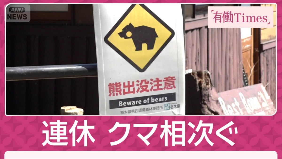 世界遺産にクマ影響 京都の古刹が一部立入禁止に 日光の名所にも“爪あと”