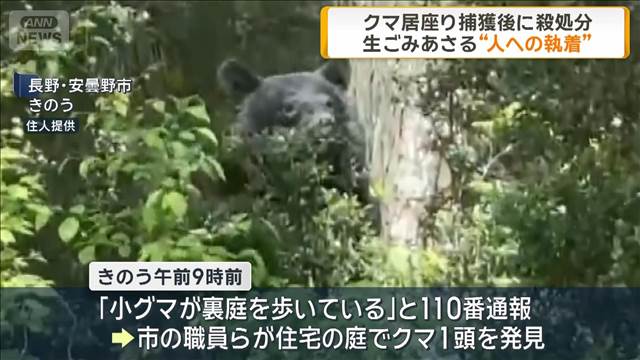 クマが住宅の庭に居座り　“人への執着”確認　長野・安曇野市