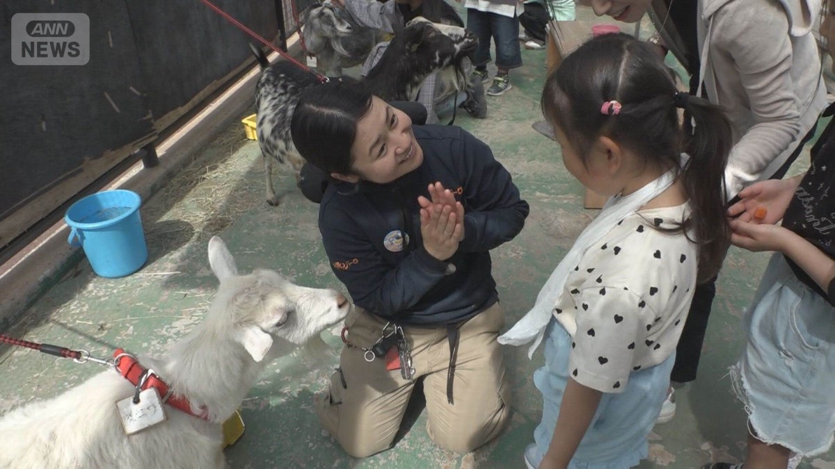 動物とのふれあい体験見直し広がる　ストレス軽減が目的　学校での飼育も急減