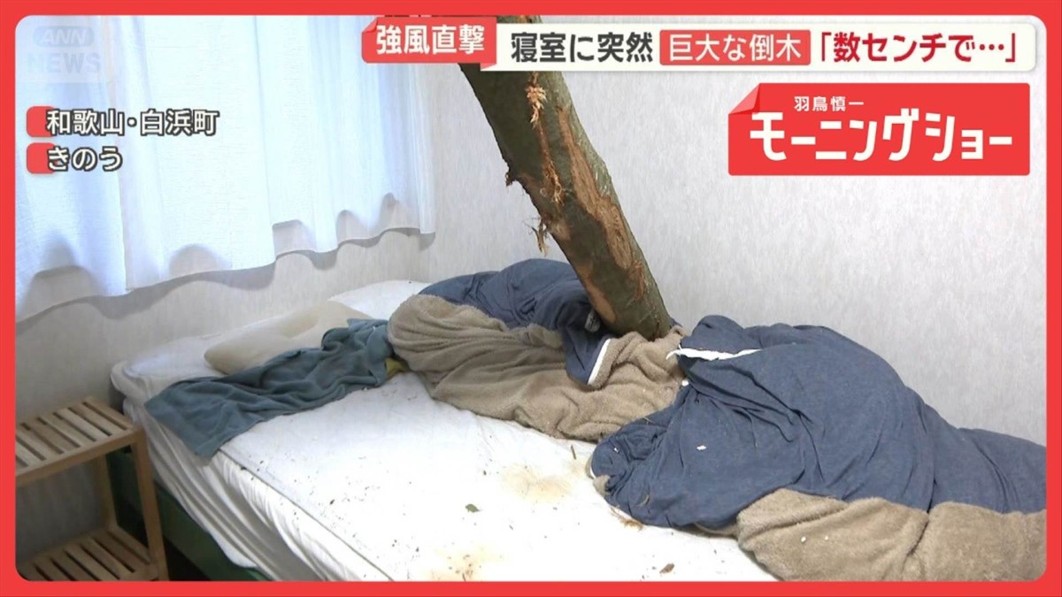 天気大荒れGW　東京で30℃超、北海道で雪　強風直撃で寝室に巨大倒木「数センチで…」
