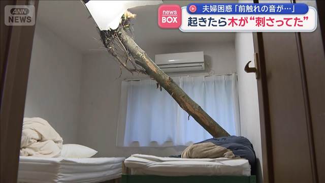 起きたら木が“刺さってた”　夫婦困惑「前触れの音が…」