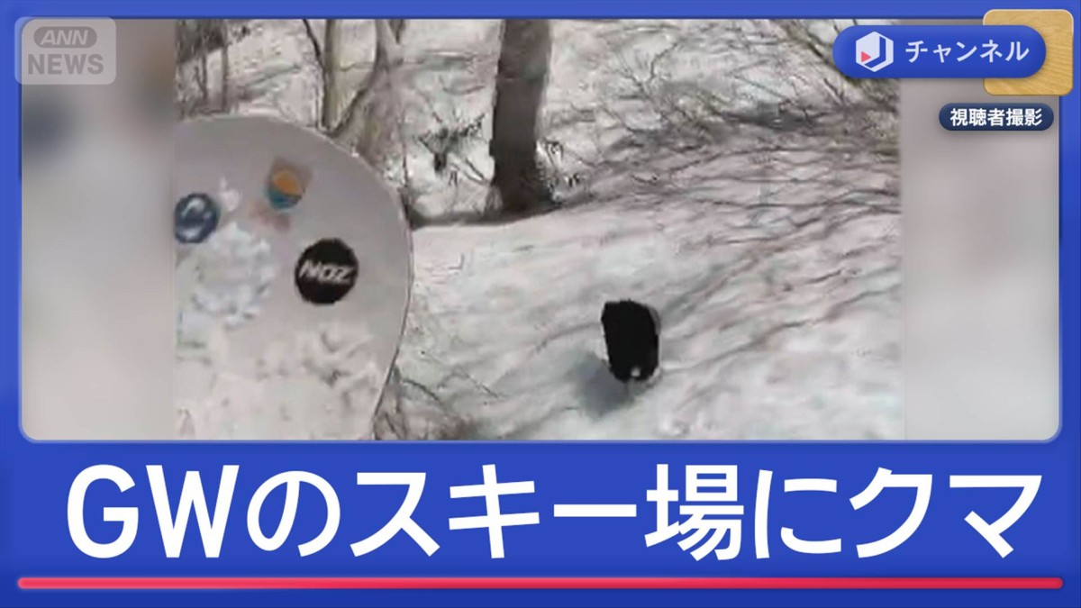 GWのスキー場にクマ 温泉地が厳戒態勢