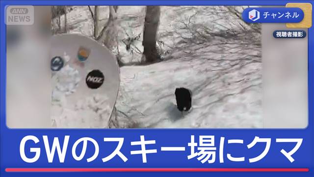 GWのスキー場にクマ　温泉地が厳戒態勢
