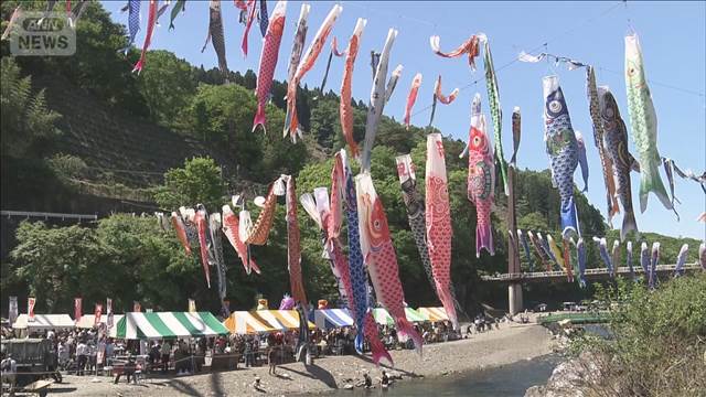 800匹の「こいのぼり」　五月晴れの空を悠々と　群馬・神流町