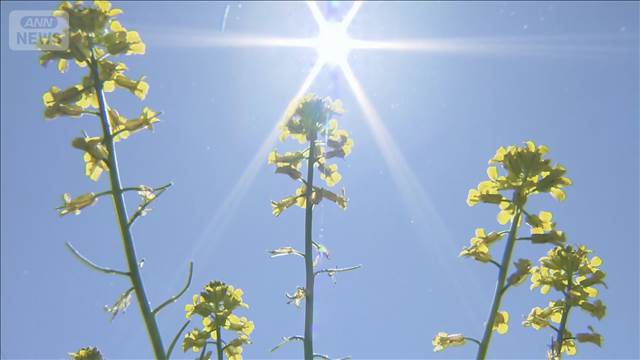 北日本で25℃以上続出　5月でも熱中症に注意　7日は関東でも夏日見込み