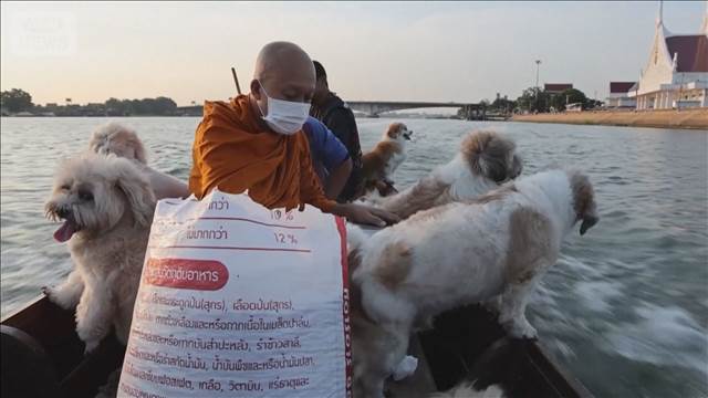 保護した捨て犬と一緒に托鉢　タイの僧侶の姿が周辺住民の話題に　　　　