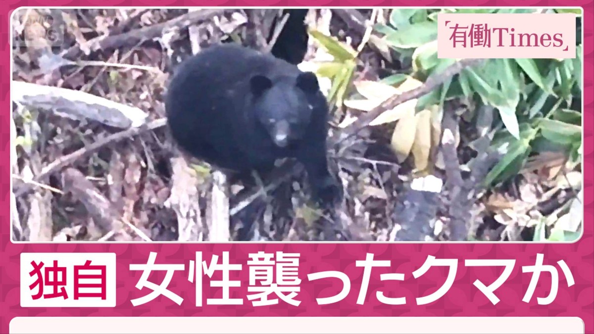 独自】ドローンが激撮「山菜採り」女性襲ったクマか 遺体発見現場から400m