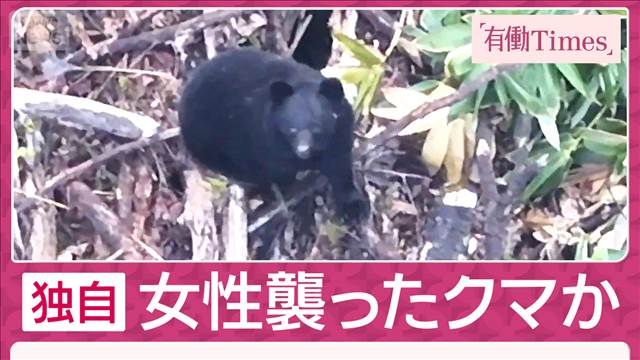 【独自】ドローンが激撮「山菜採り」女性襲ったクマか 遺体発見現場から400m