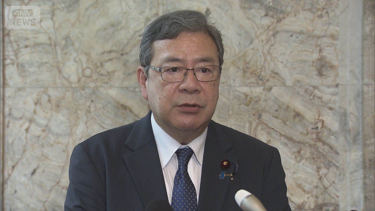 「再審制」週内の閣議決定目指し調整　自民と維新の幹部が会談