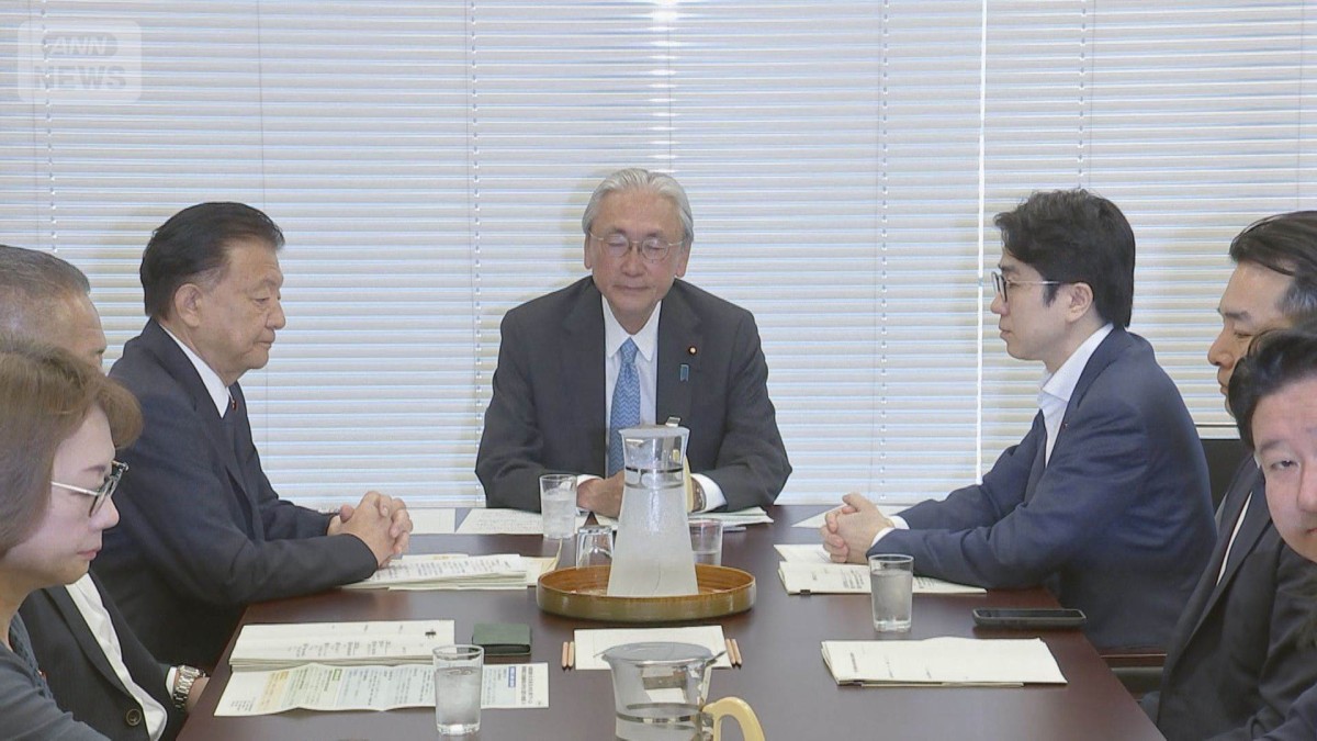 緊急事態条項「イメージ案」が判明　衆院憲法審査会