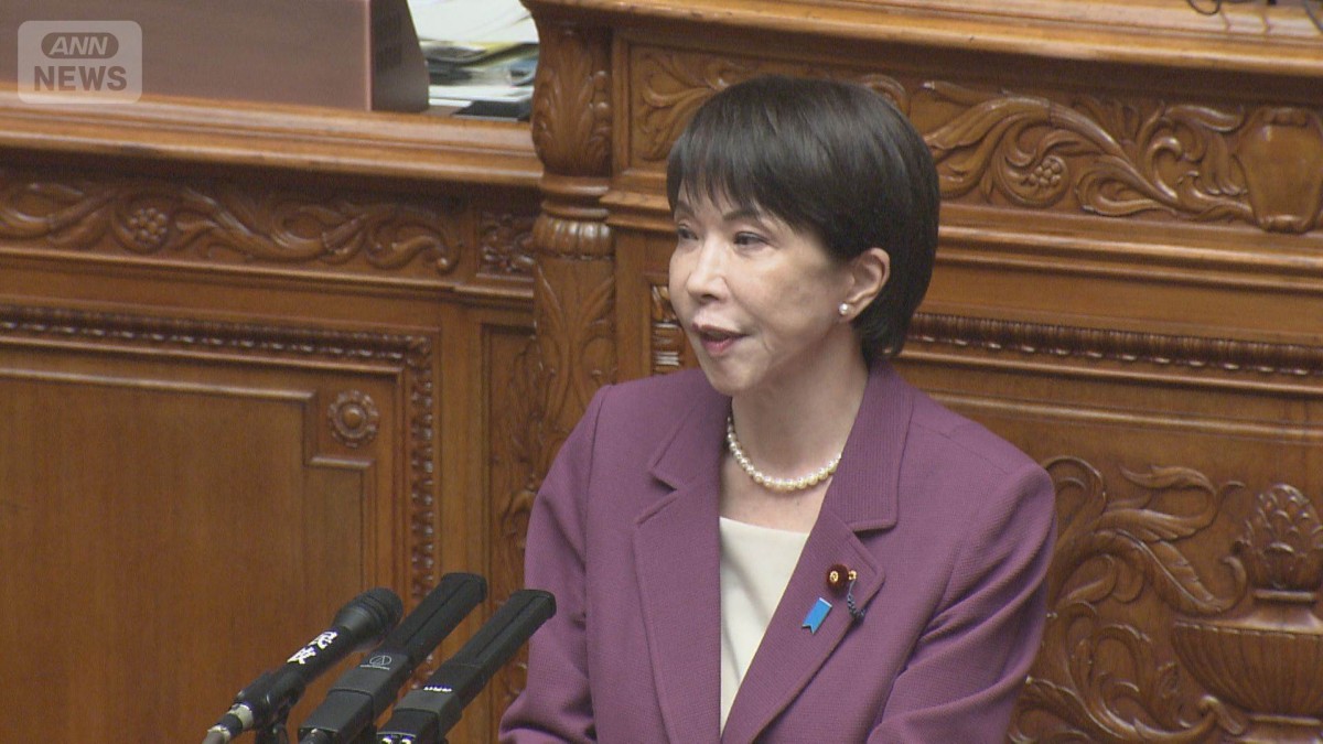 OTC類似薬負担増の改正案　参院で審議入り