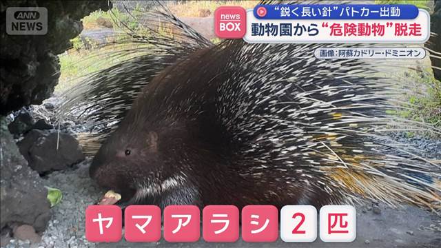 動物園から“危険動物”脱走　“鋭く長い針”パトカー出動