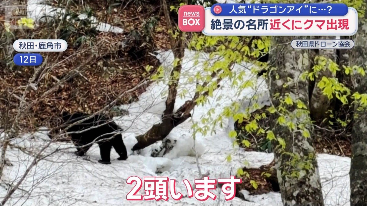 絶景の名所　近くにクマ出現　人気観光スポット「ドラゴンアイ」に…？