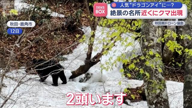 絶景の名所　近くにクマ出現　人気観光スポット「ドラゴンアイ」に…？