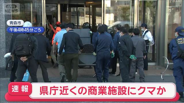 【速報】県庁近くの商業施設にクマか　青森