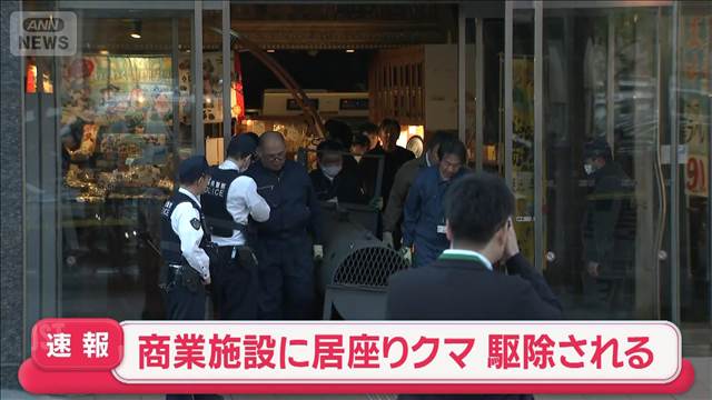 【速報】商業施設に入り込んだクマ　駆除される　青森