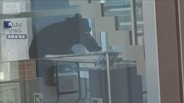 青森市の商業施設にクマ　緊急銃猟で駆除 県内3例目