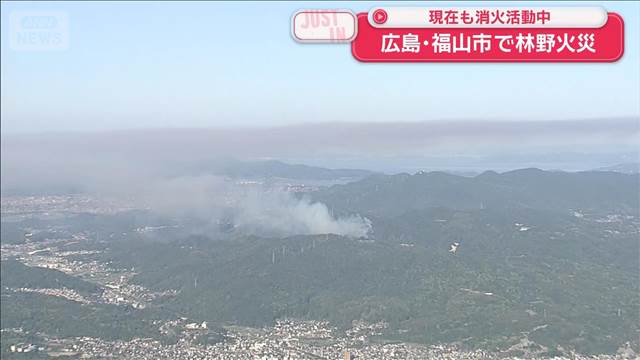 現在も消火活動中　広島・福山市で林野火災