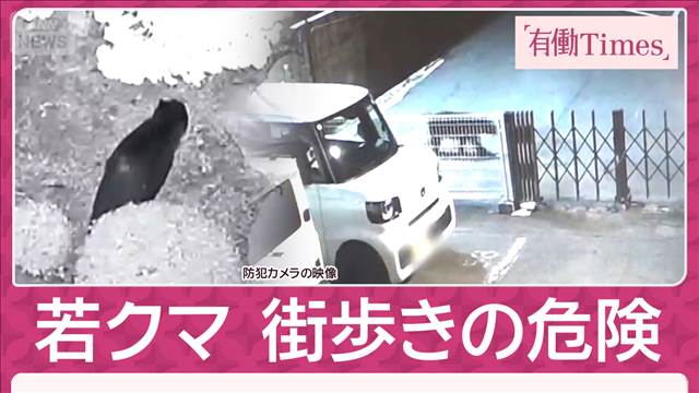 “東京クマ”奥多摩でロシア人襲われケガ 【独自映像】消えた“大学クマ”夜の街へ